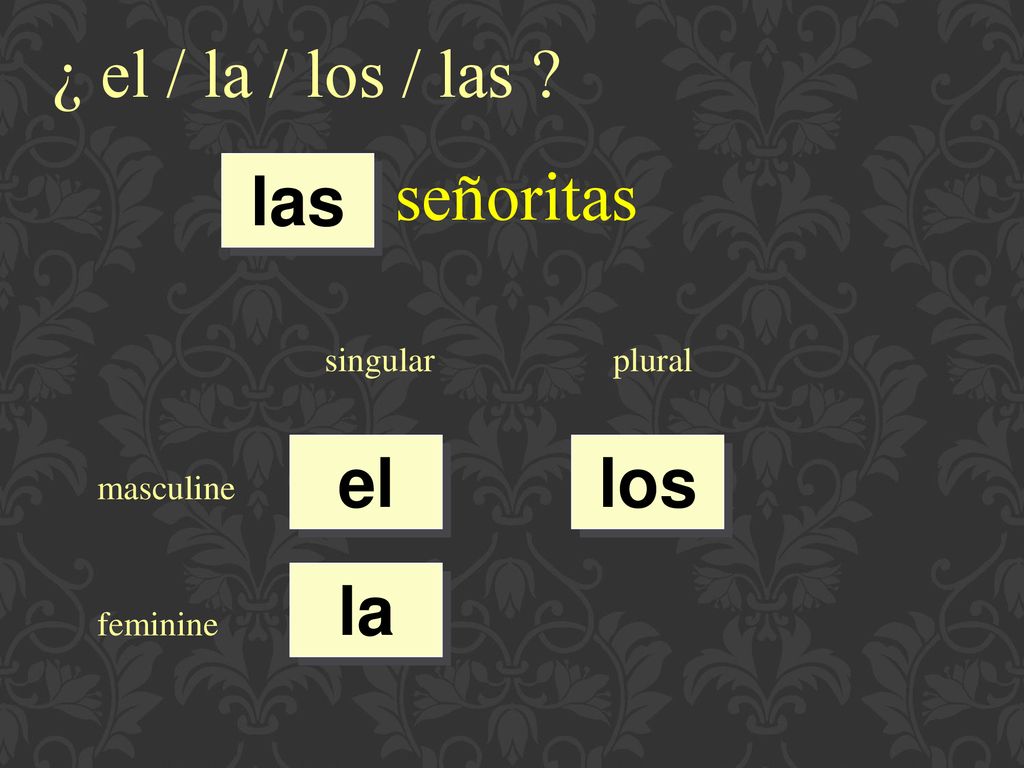 ¿ el / la / los / las señoritas las el los la singular plural