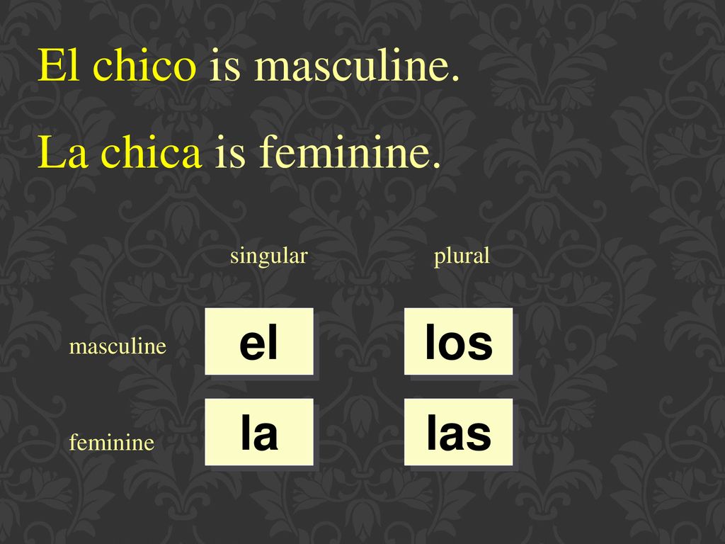 El chico is masculine. La chica is feminine. el los la las singular