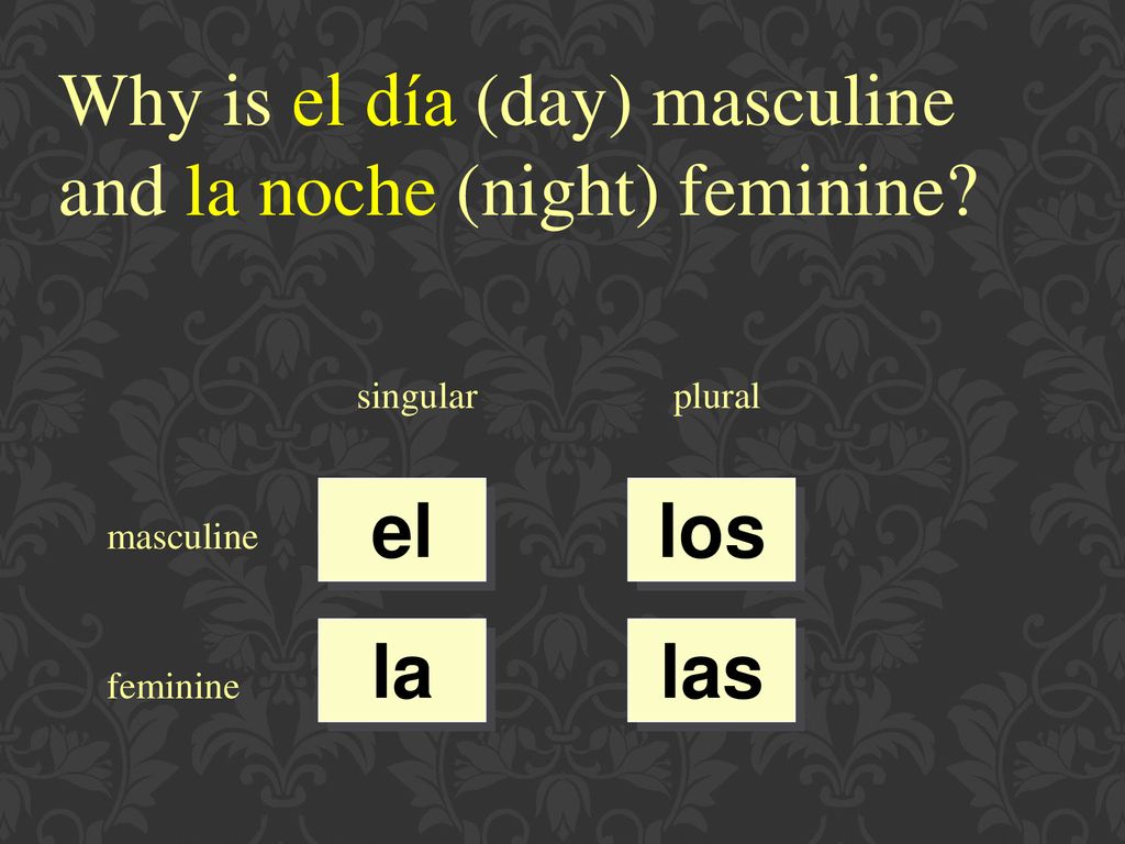 Why is el día (day) masculine and la noche (night) feminine