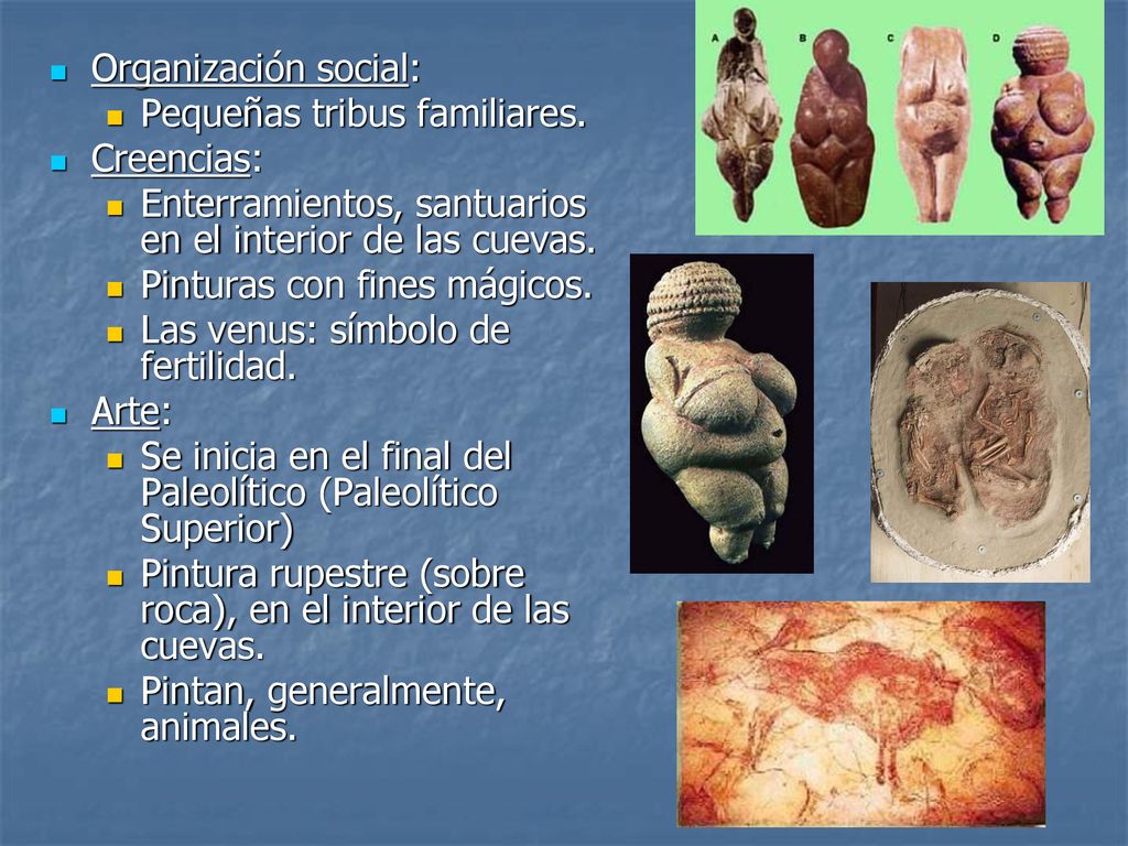 Organización social: Pequeñas tribus familiares. Creencias: Enterramientos, santuarios en el interior de las cuevas.