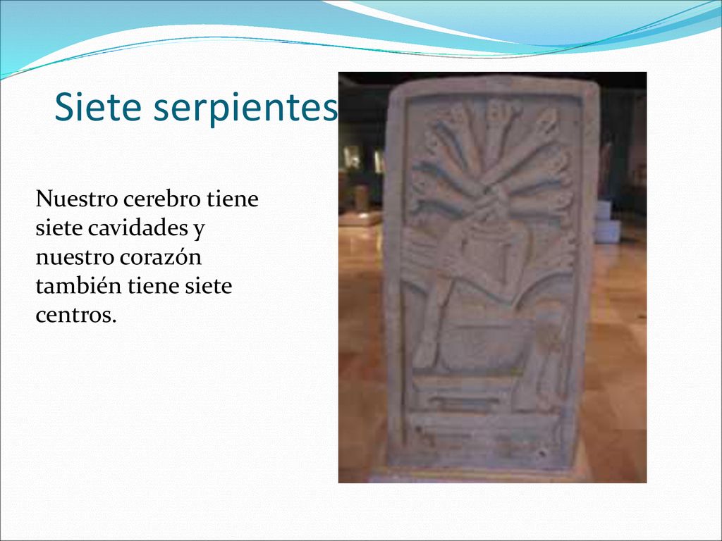 Siete serpientes Nuestro cerebro tiene siete cavidades y nuestro corazón también tiene siete centros.