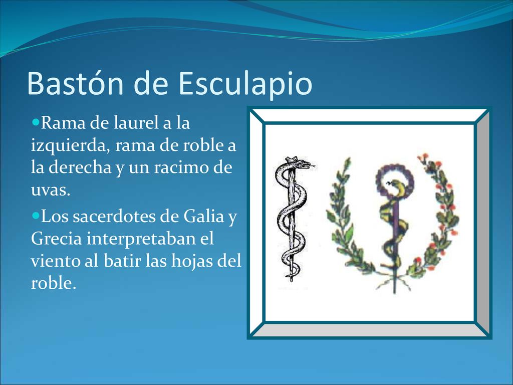 Bastón de Esculapio Rama de laurel a la izquierda, rama de roble a la derecha y un racimo de uvas.