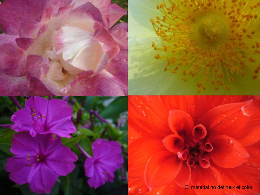 El material no defineix el color