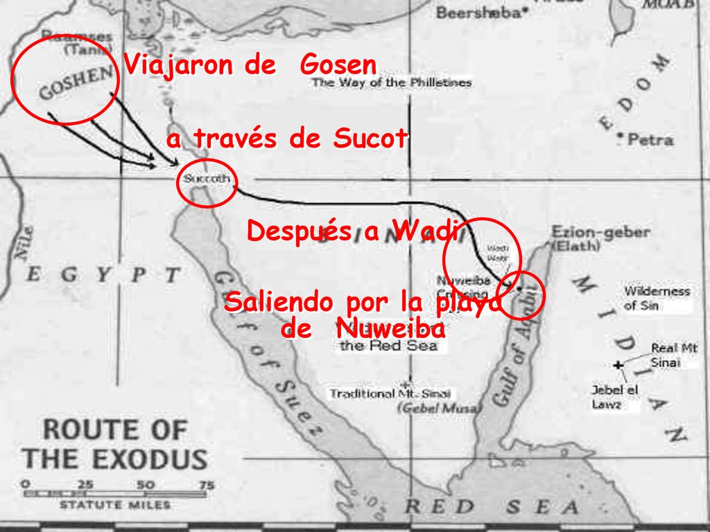 Viajaron de Gosen a través de Sucot Después a Wadi Saliendo por la playa de Nuweiba