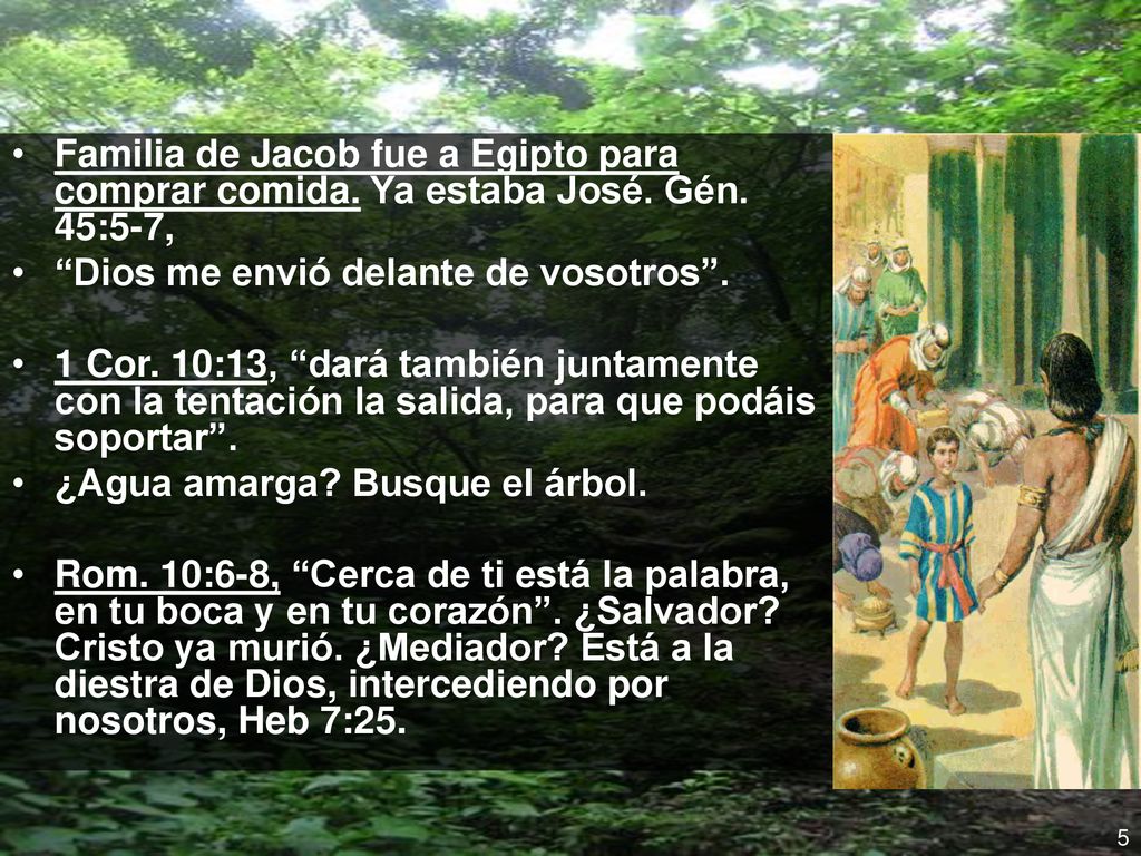 Familia de Jacob fue a Egipto para comprar comida. Ya estaba José. Gén
