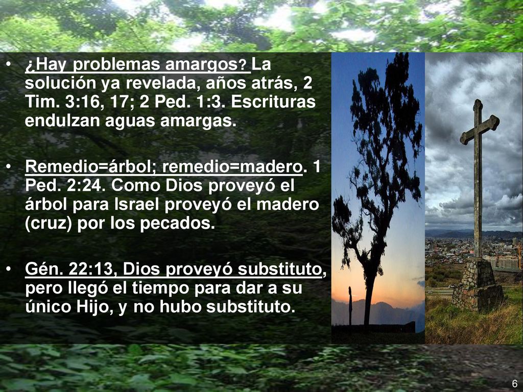 ¿Hay problemas amargos. La solución ya revelada, años atrás, 2 Tim