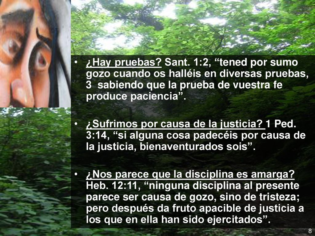 ¿Hay pruebas Sant. 1:2, tened por sumo gozo cuando os halléis en diversas pruebas, 3 sabiendo que la prueba de vuestra fe produce paciencia .