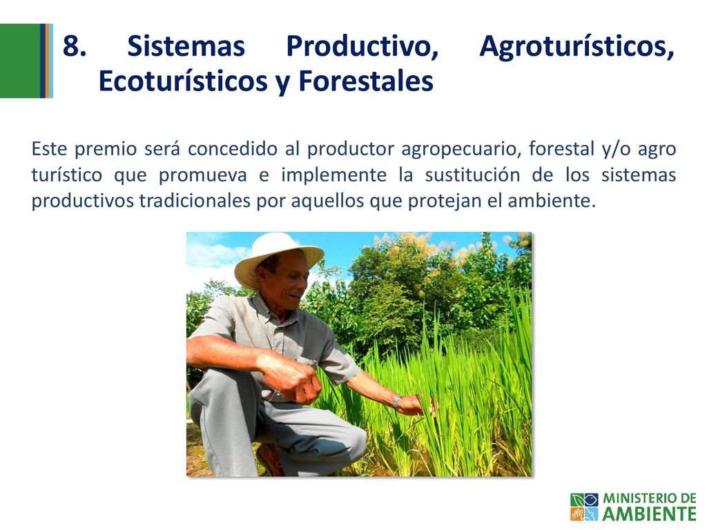 8. Sistemas Productivo, Agroturísticos, Ecoturísticos y Forestales