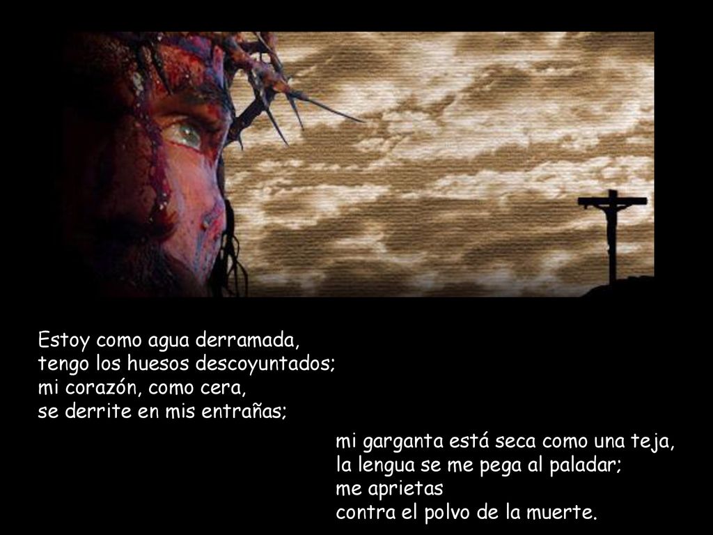 Estoy como agua derramada, tengo los huesos descoyuntados; mi corazón, como cera, se derrite en mis entrañas;