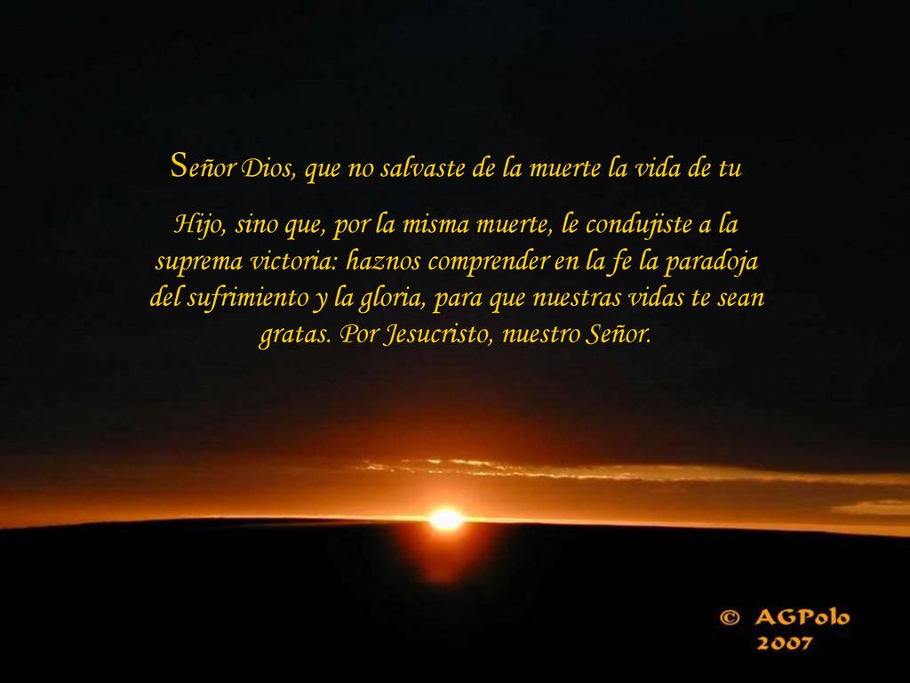 Señor Dios, que no salvaste de la muerte la vida de tu Hijo, sino que, por la misma muerte, le condujiste a la suprema victoria: haznos comprender en la fe la paradoja del sufrimiento y la gloria, para que nuestras vidas te sean gratas.