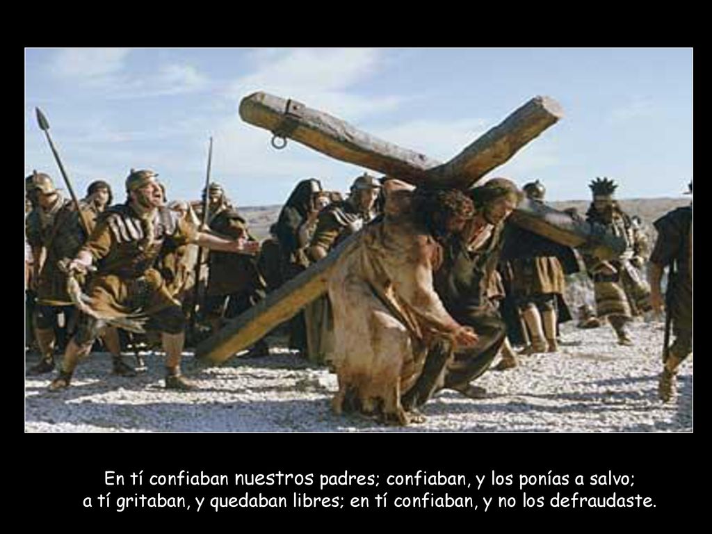 En tí confiaban nuestros padres; confiaban, y los ponías a salvo; a tí gritaban, y quedaban libres; en tí confiaban, y no los defraudaste.