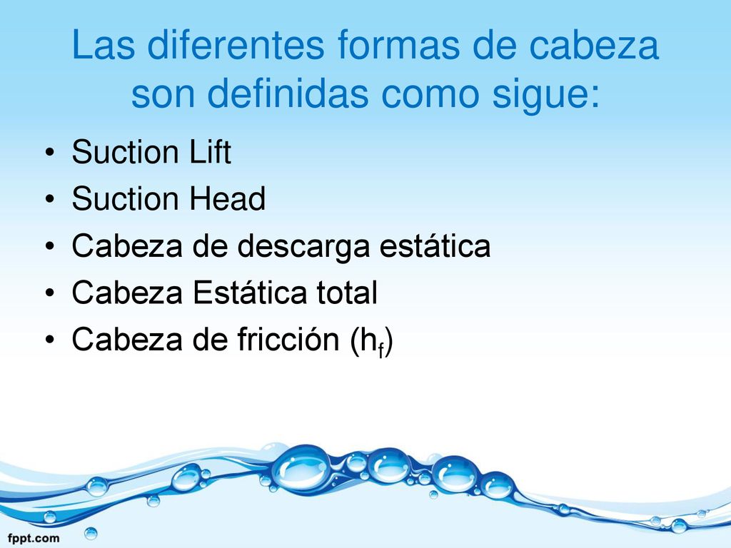 Las diferentes formas de cabeza son definidas como sigue: