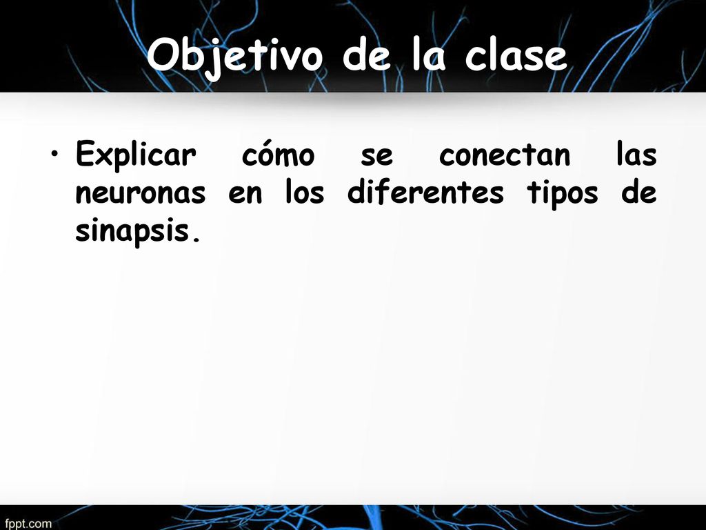 Objetivo de la clase Explicar cómo se conectan las neuronas en los diferentes tipos de sinapsis.