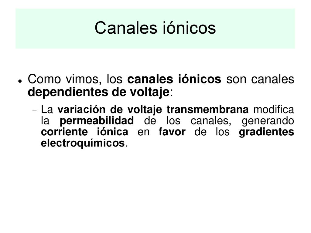 Canales iónicos Como vimos, los canales iónicos son canales dependientes de voltaje: