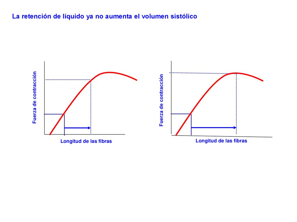 La retención de líquido ya no aumenta el volumen sistólico