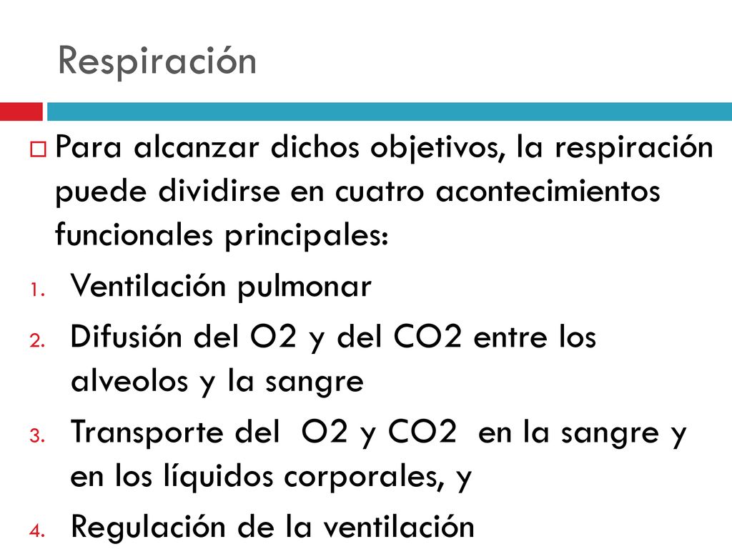 Respiración Para alcanzar dichos objetivos, la respiración puede dividirse en cuatro acontecimientos funcionales principales: