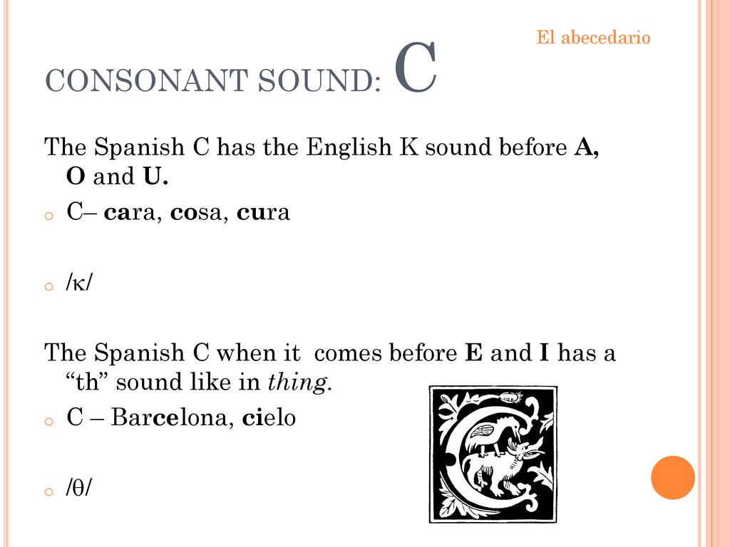 CONSONANT SOUND: C El abecedario. The Spanish C has the English K sound before A, O and U. C– cara, cosa, cura