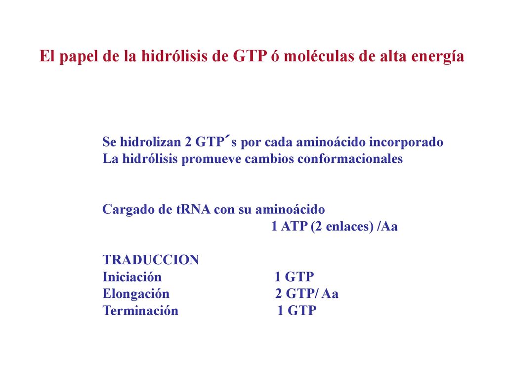 El papel de la hidrólisis de GTP ó moléculas de alta energía