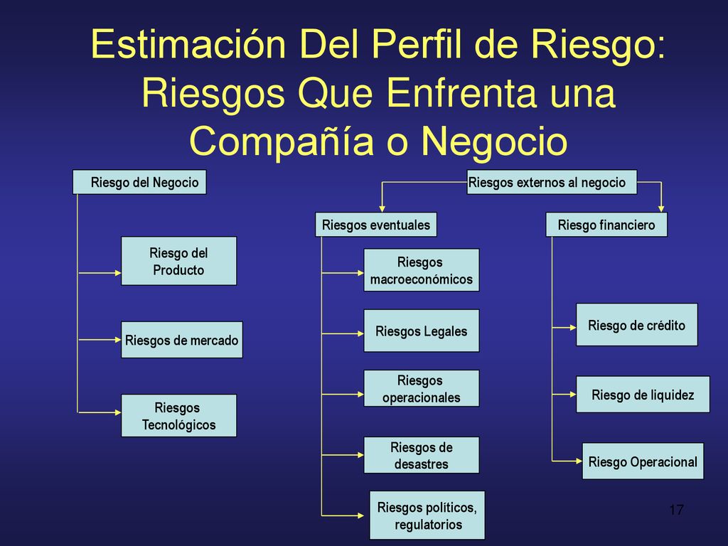 Estimación Del Perfil de Riesgo: Riesgos Que Enfrenta una Compañía o Negocio