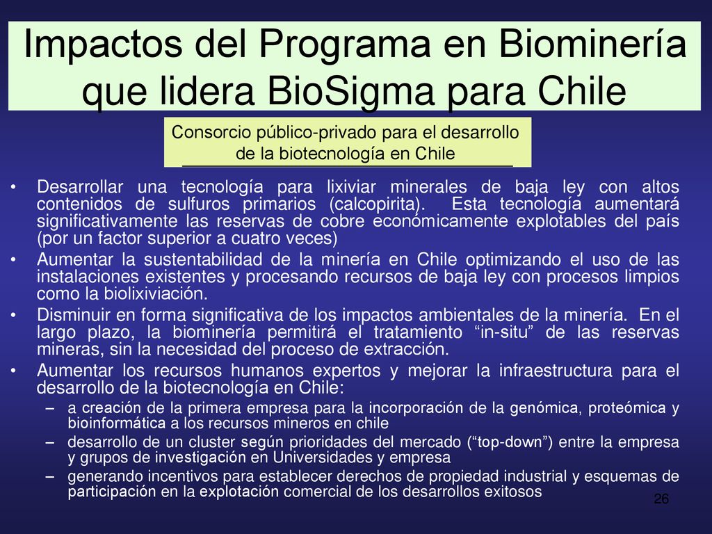 Impactos del Programa en Biominería que lidera BioSigma para Chile