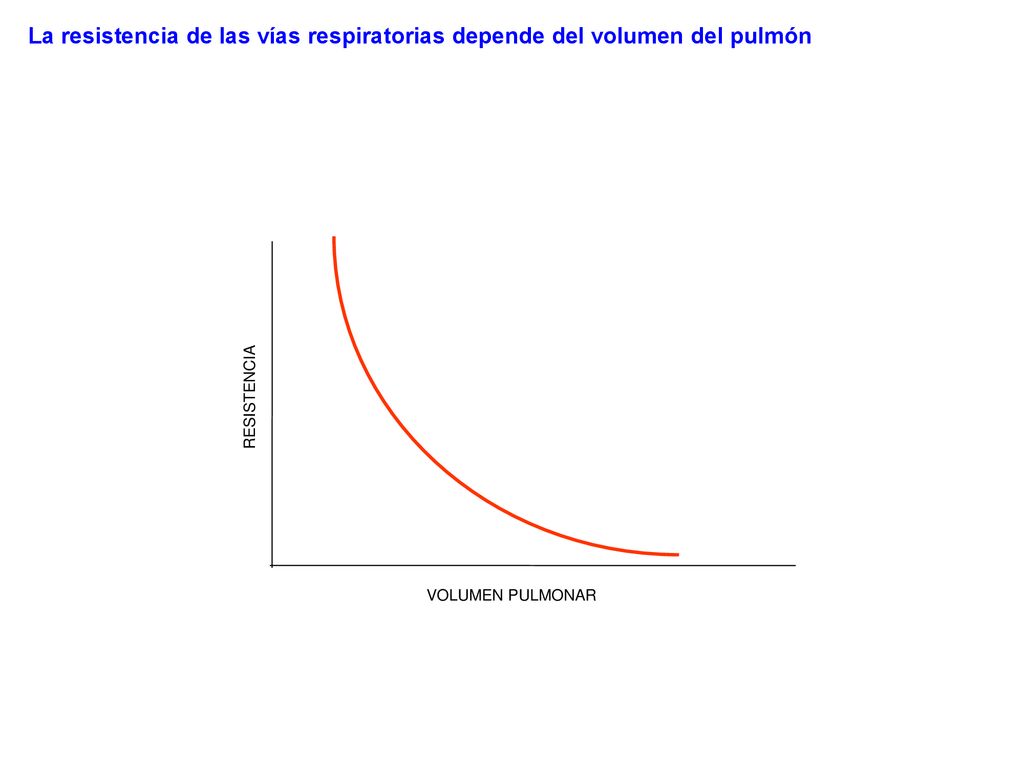 La resistencia de las vías respiratorias depende del volumen del pulmón