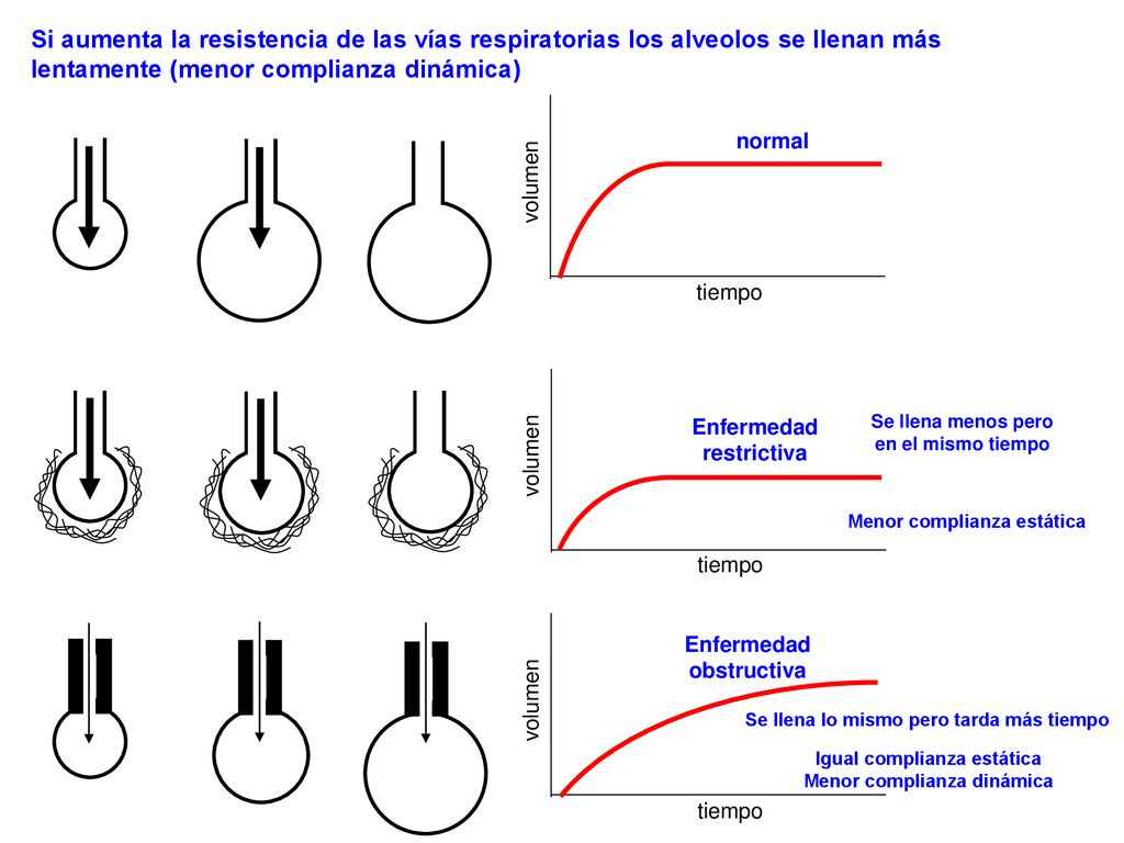 Si aumenta la resistencia de las vías respiratorias los alveolos se llenan más lentamente (menor complianza dinámica)