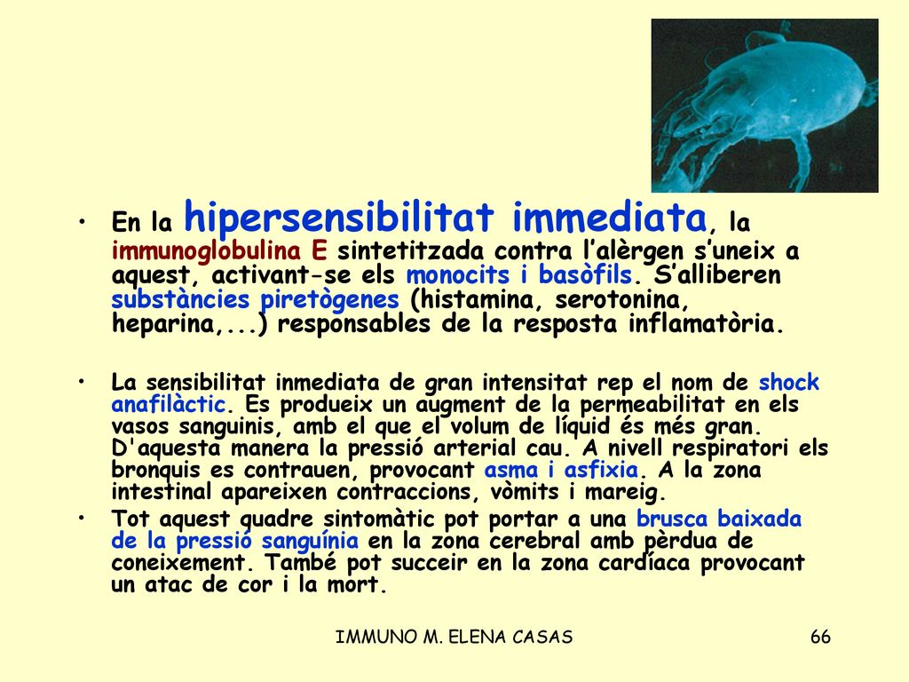 En la hipersensibilitat immediata, la immunoglobulina E sintetitzada contra l’alèrgen s’uneix a aquest, activant-se els monocits i basòfils. S’alliberen substàncies piretògenes (histamina, serotonina, heparina,...) responsables de la resposta inflamatòria.