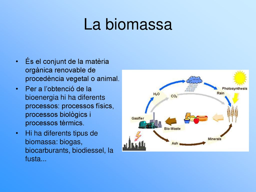 La biomassa És el conjunt de la matèria orgànica renovable de procedència vegetal o animal.