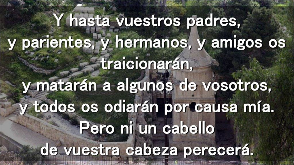 Y hasta vuestros padres, y parientes, y hermanos, y amigos os traicionarán, y matarán a algunos de vosotros, y todos os odiarán por causa mía.