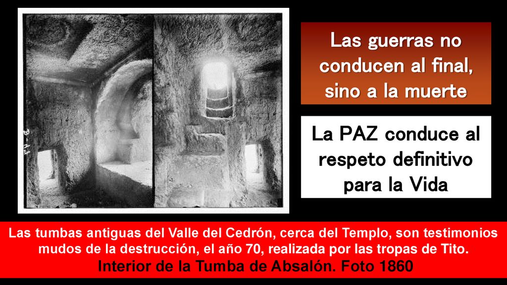 Las guerras no conducen al final, sino a la muerte