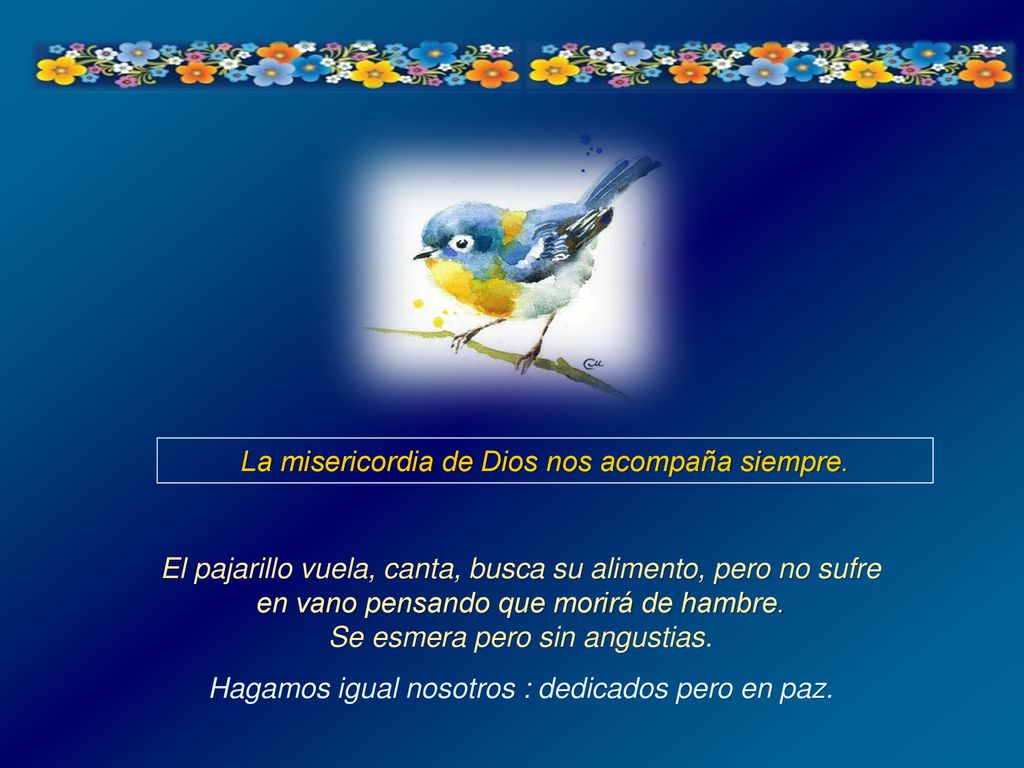 La misericordia de Dios nos acompaña siempre.