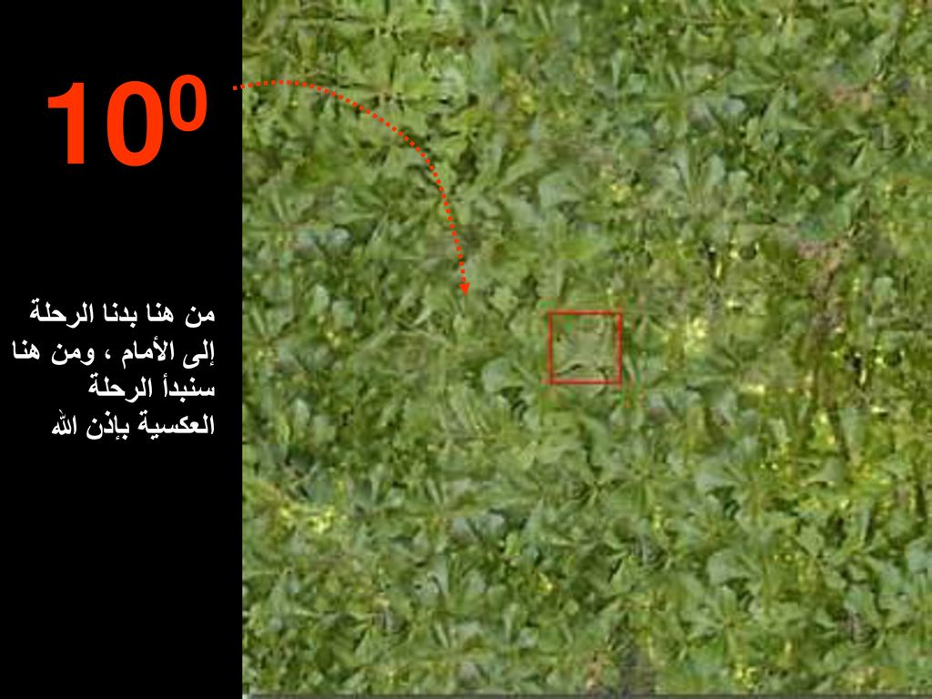 100 من هنا بدنا الرحلة إلى الأمام ، ومن هنا سنبدأ الرحلة العكسية بإذن الله
