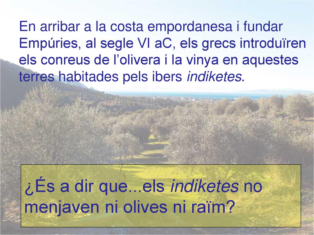 ¿És a dir que...els indiketes no menjaven ni olives ni raïm