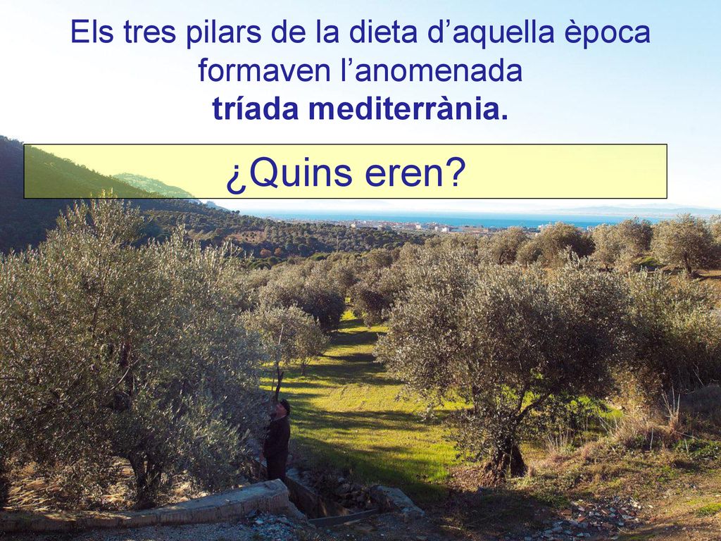 Els tres pilars de la dieta d’aquella època formaven l’anomenada tríada mediterrània.