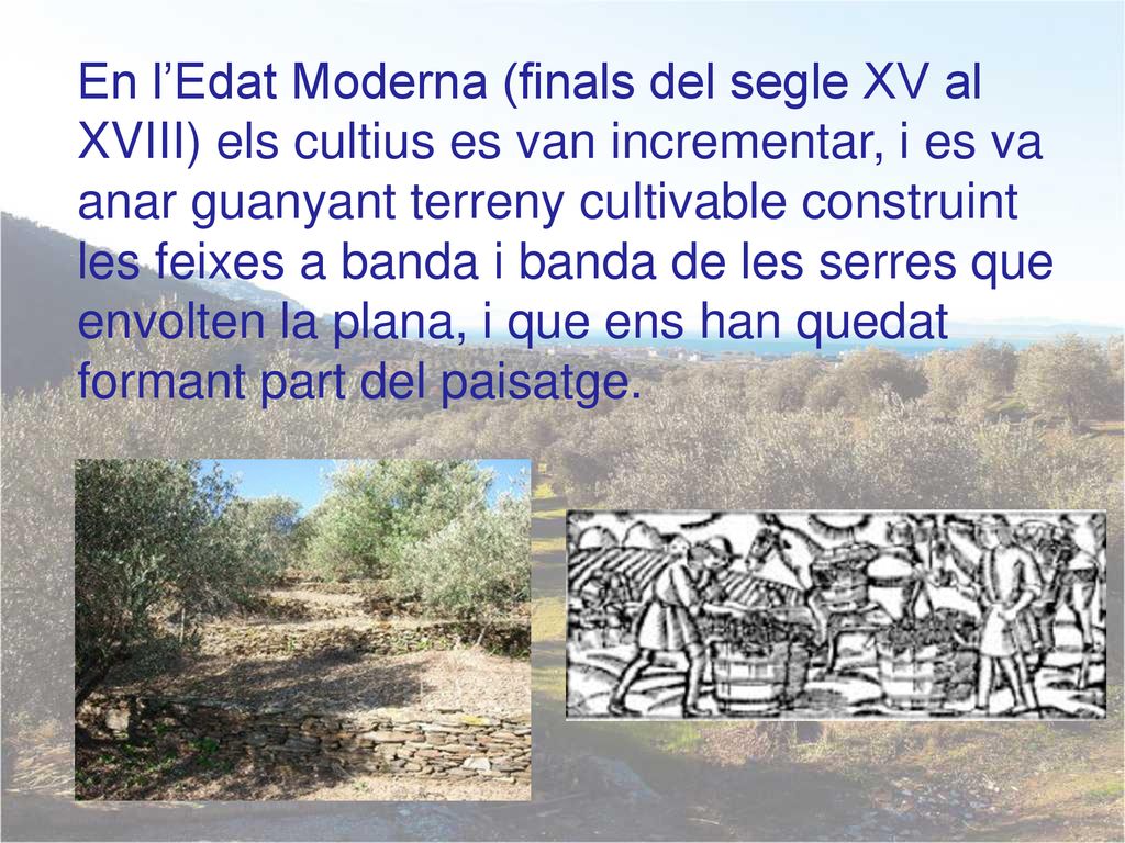 En l’Edat Moderna (finals del segle XV al XVIII) els cultius es van incrementar, i es va anar guanyant terreny cultivable construint les feixes a banda i banda de les serres que envolten la plana, i que ens han quedat formant part del paisatge.