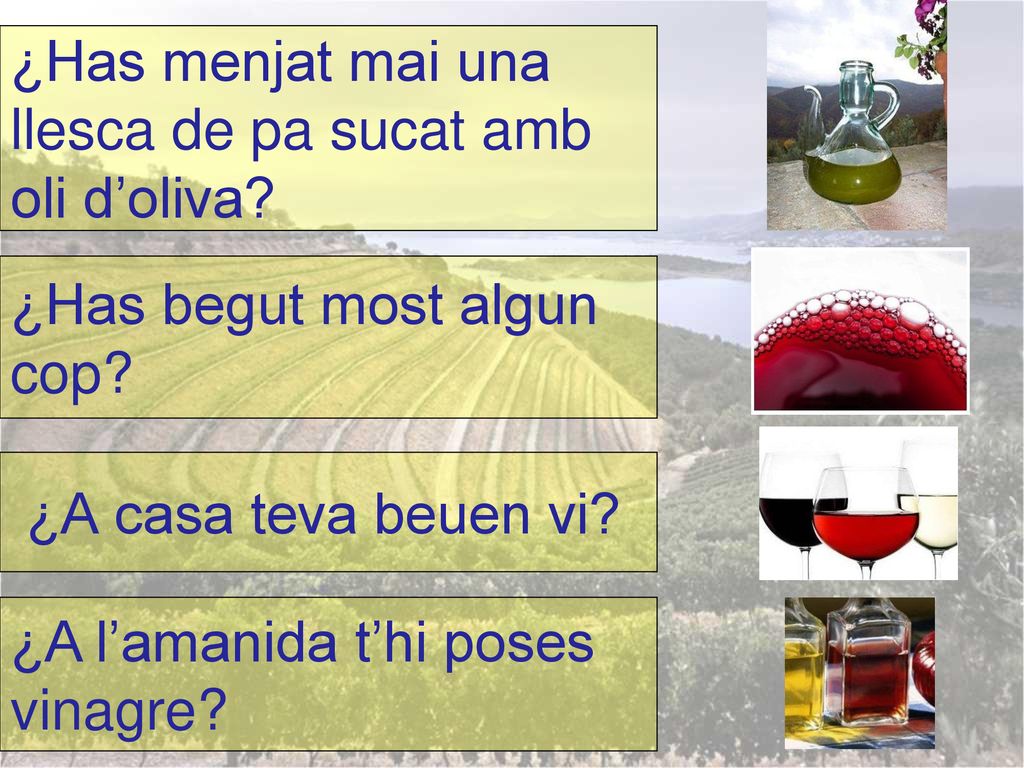 ¿Has menjat mai una llesca de pa sucat amb oli d’oliva