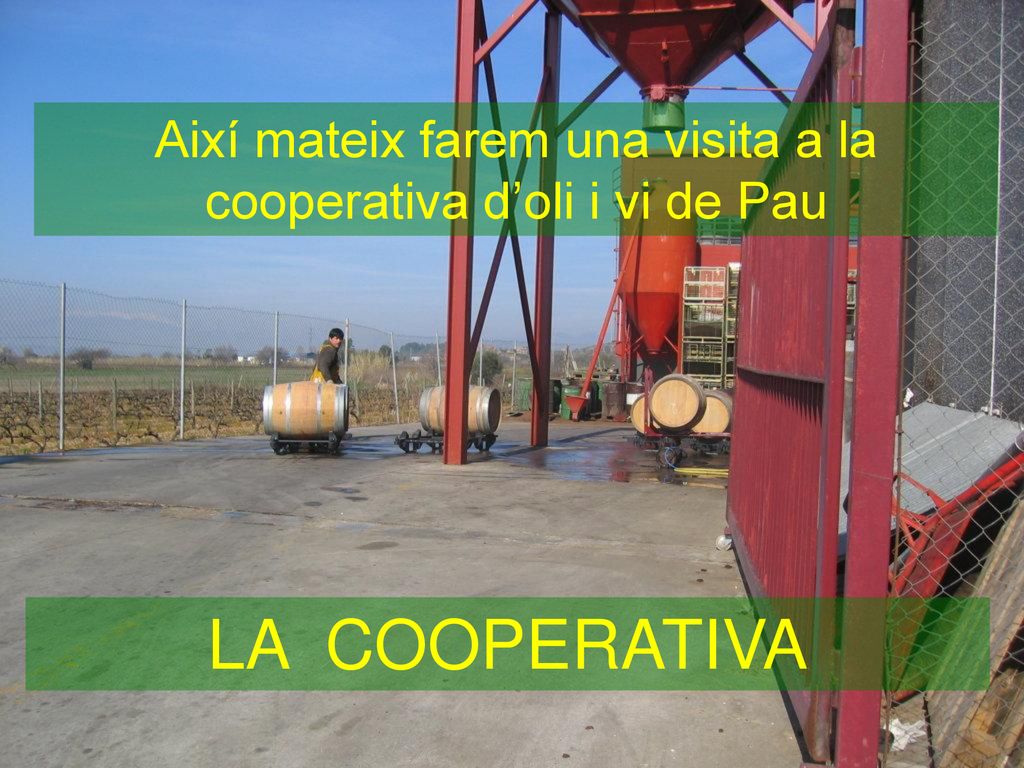Així mateix farem una visita a la cooperativa d’oli i vi de Pau