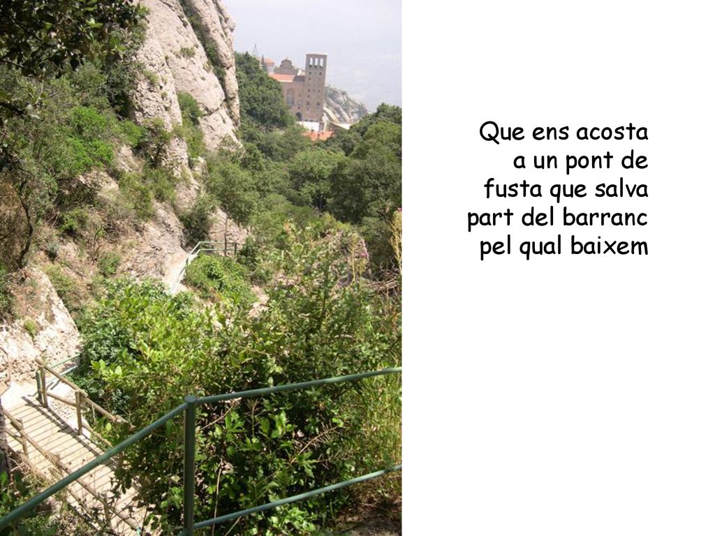 Que ens acosta a un pont de fusta que salva part del barranc pel qual baixem