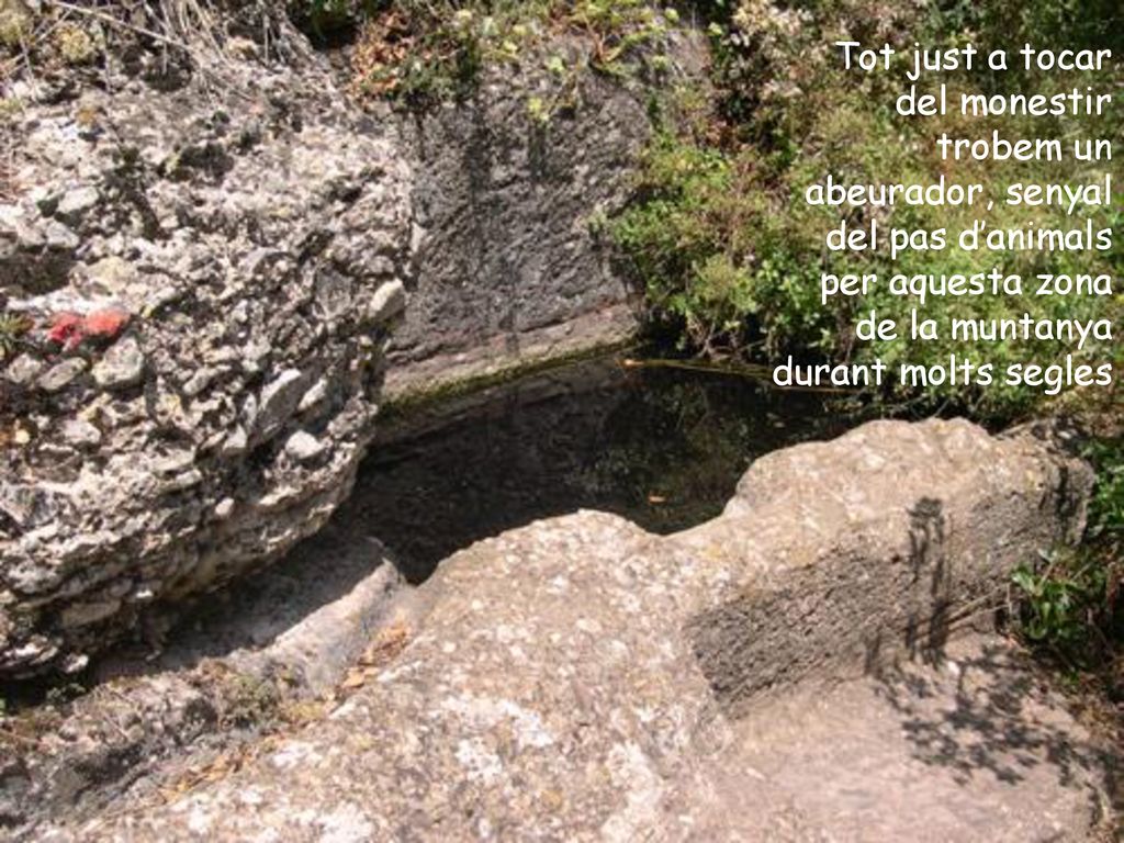 Tot just a tocar del monestir trobem un abeurador, senyal del pas d’animals per aquesta zona de la muntanya durant molts segles