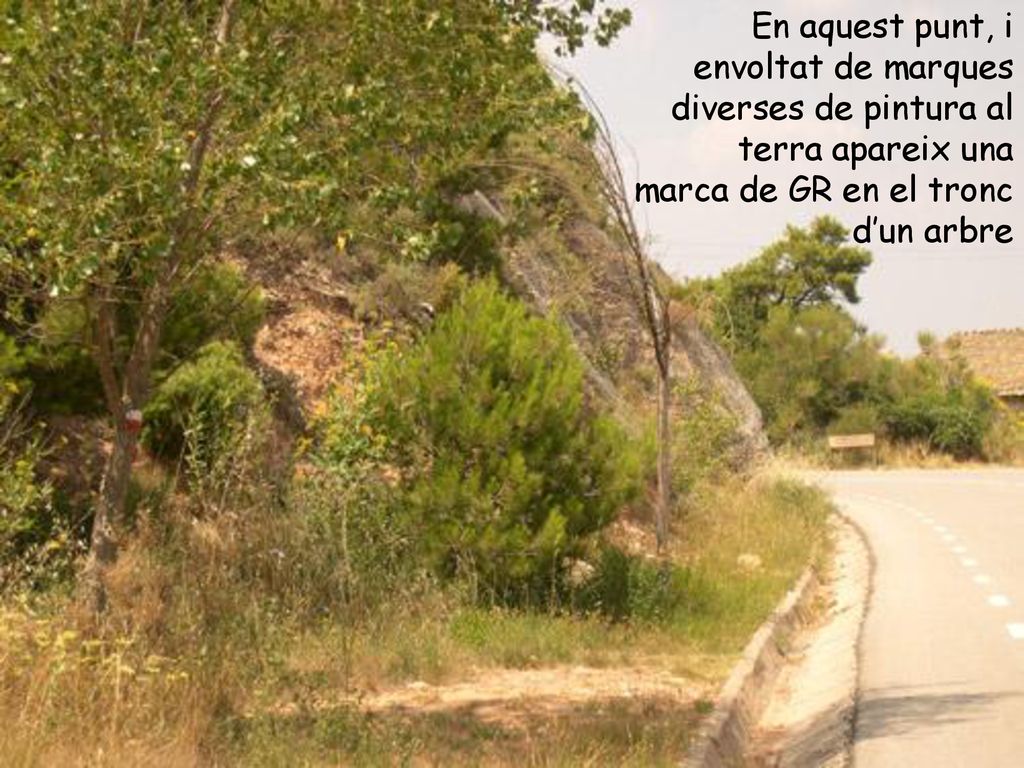 En aquest punt, i envoltat de marques diverses de pintura al terra apareix una marca de GR en el tronc d’un arbre
