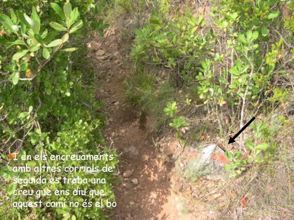 I en els encreuaments amb altres corriols de seguida es troba una creu que ens diu que aquest camí no és el bo
