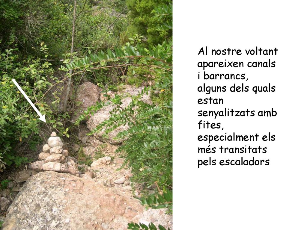 Al nostre voltant apareixen canals i barrancs, alguns dels quals estan senyalitzats amb fites, especialment els més transitats pels escaladors