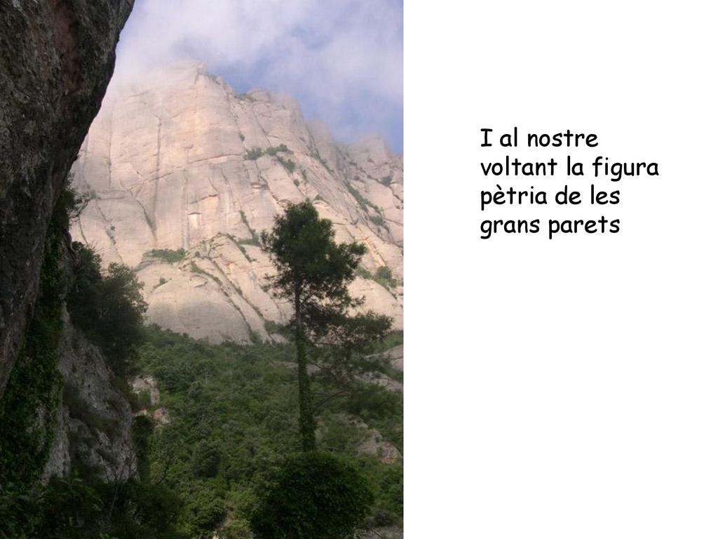 I al nostre voltant la figura pètria de les grans parets