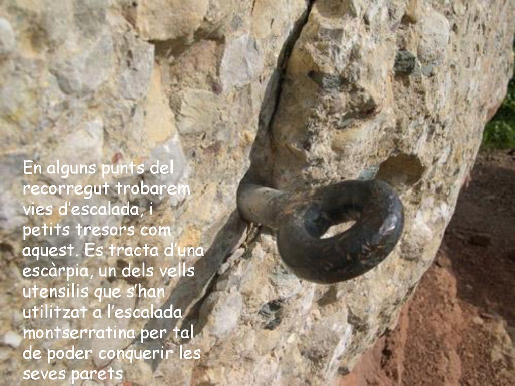 En alguns punts del recorregut trobarem vies d’escalada, i petits tresors com aquest.
