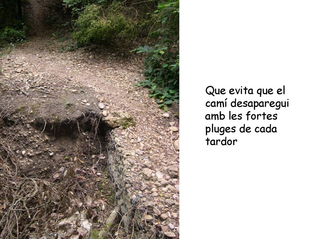 Que evita que el camí desaparegui amb les fortes pluges de cada tardor