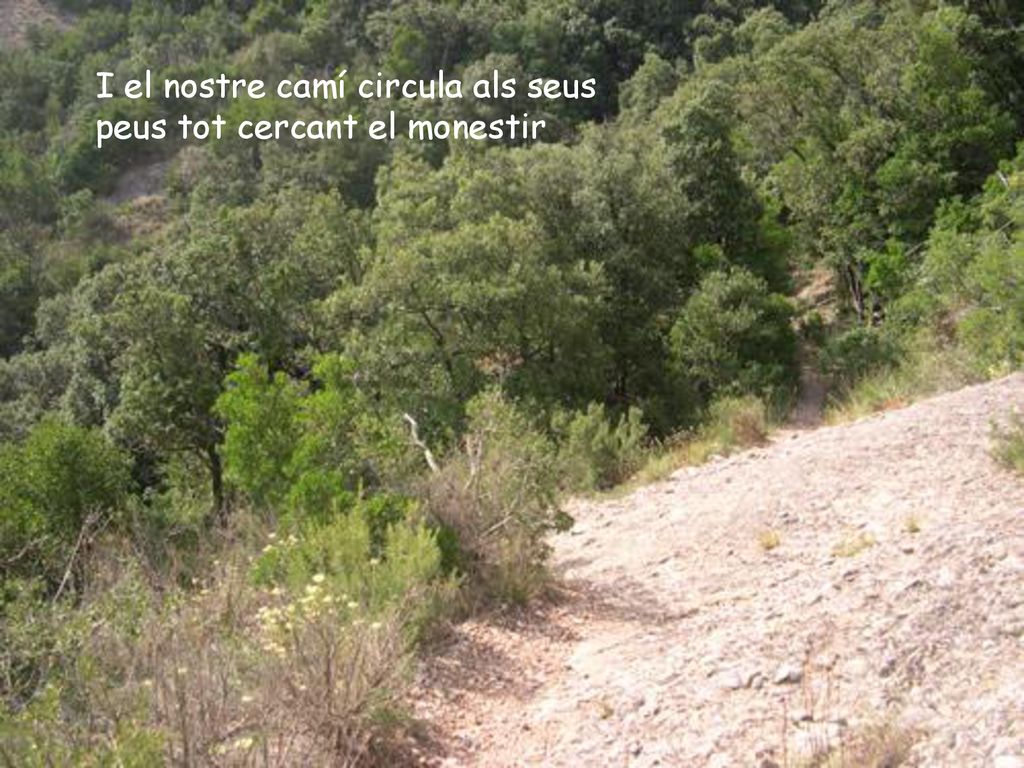 I el nostre camí circula als seus peus tot cercant el monestir