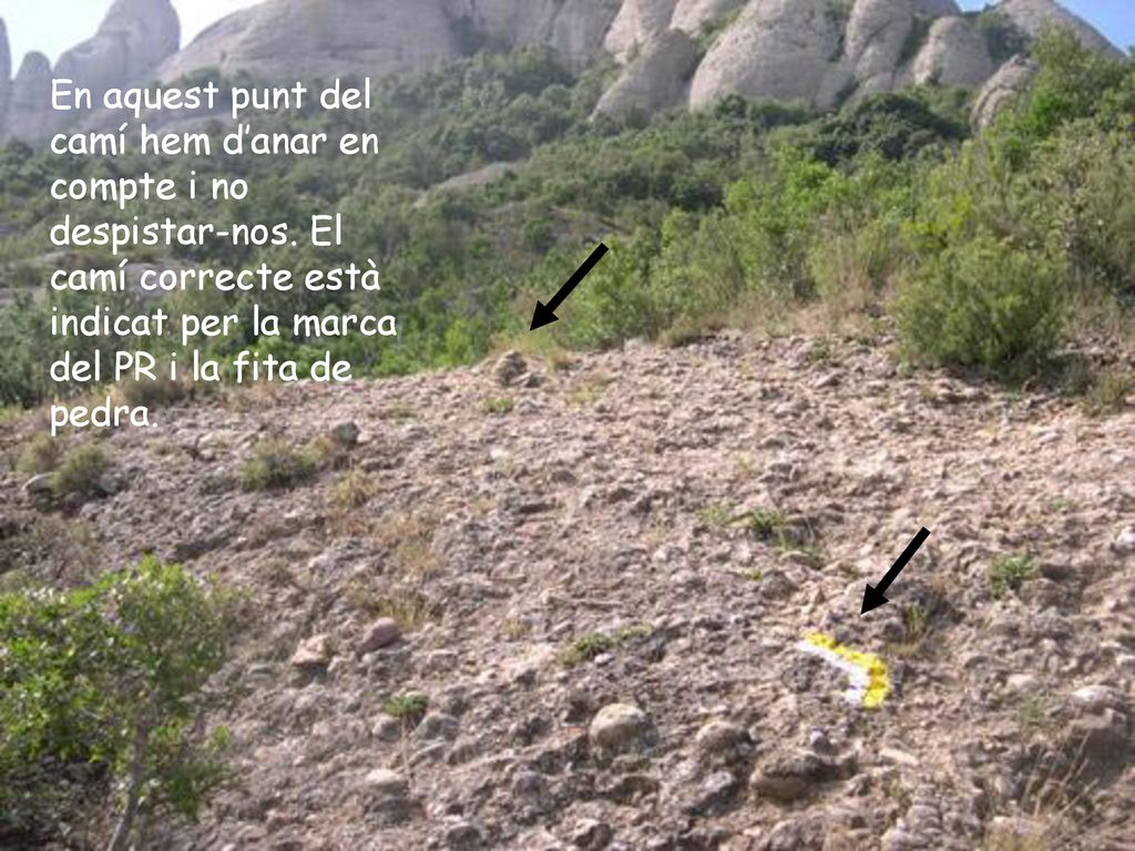 En aquest punt del camí hem d’anar en compte i no despistar-nos
