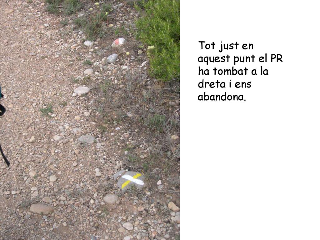 Tot just en aquest punt el PR ha tombat a la dreta i ens abandona.