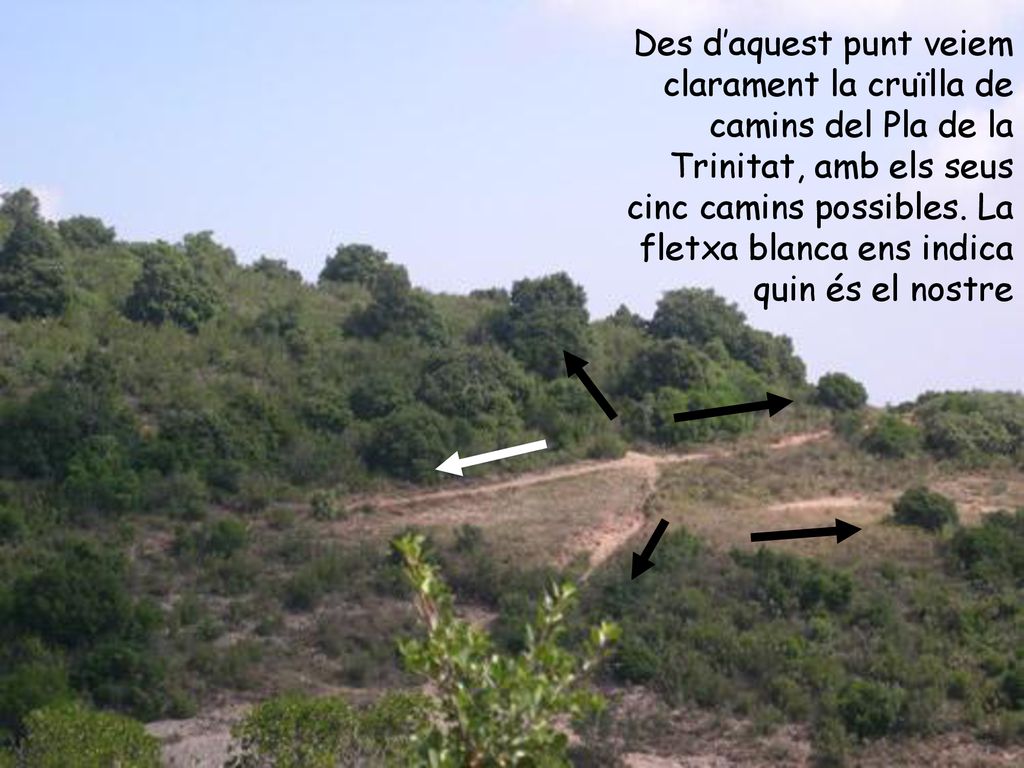 Des d’aquest punt veiem clarament la cruïlla de camins del Pla de la Trinitat, amb els seus cinc camins possibles.