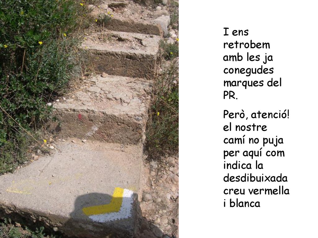 I ens retrobem amb les ja conegudes marques del PR.
